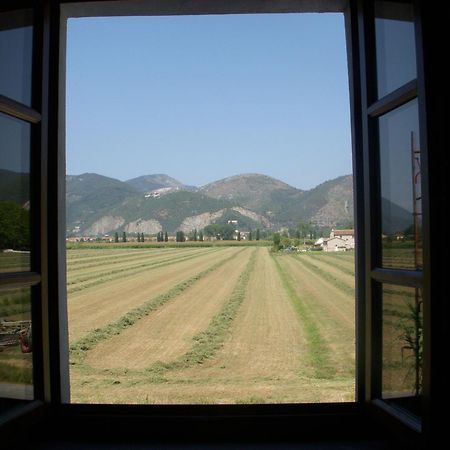 B&B Antica Dimora San Giuliano Terme Exterior photo